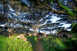 Lemala Ngorongoro Tented Camp