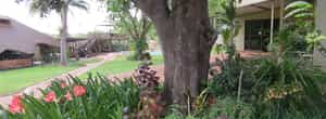 3 Palms Bed & Breakfast