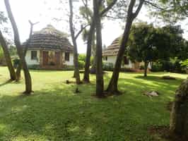 Kingfisher Safaris Resort