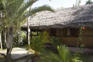 Palmarium