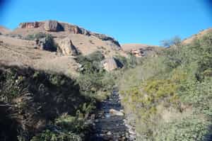 Giant's Castle Camp