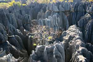 Le Grand Hotel du Tsingy de Bemaraha