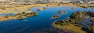 Endeavour Mobile Delta Safaris