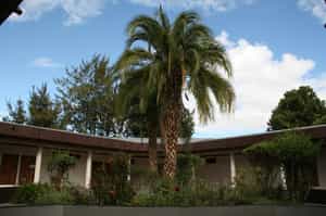 Wabe Shebelle Hotel