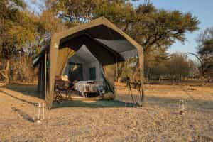 Letaka Tented Camp - Moremi