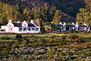 Galenia Estate