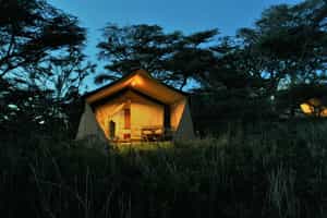 Mysigio Camp