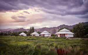 Chamba Camp Thiksey