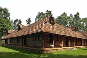 Rajakkad Estate 