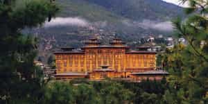 Pemako Thimpu