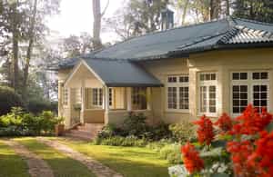 Ceylon Tea Trails