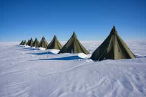 Dixie's Expedition Camp
