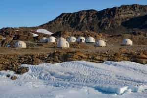 Whichaway Camp