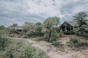 Waterbuck Lodge