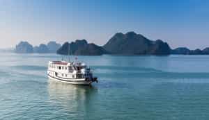 Bhaya Premium Cruise