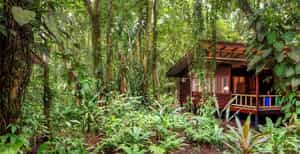 Evergreen Lodge