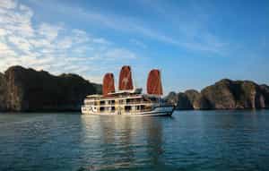Orchid Trendy Cruise 