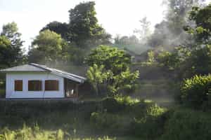 Amba Estate