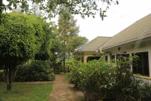 Kibale Forest Lodge
