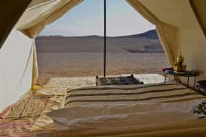 Camel Camp