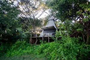 Shawa Luangwa Camp