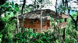 Tranquil Resort