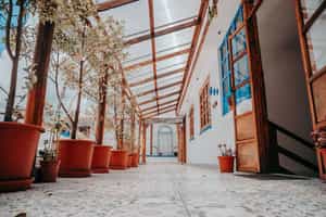 Hotel Casa Alquimia