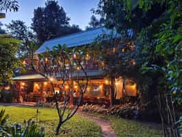 Our Jungle House