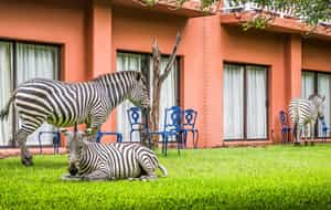 Avani Victoria Falls Resort