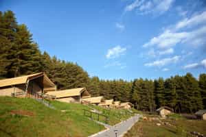 Gangtey Tent Resort