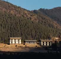 Gangtey Lodge