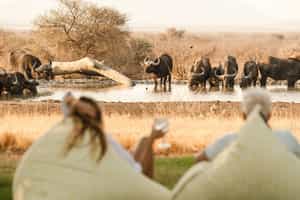 Last Word Madikwe Bush House