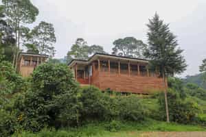 Four Gorillas Lodge