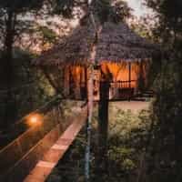 Treehouse Lodge