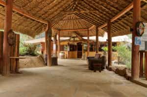 Kongoni Camp