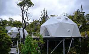 WhaleSound EcoCamp