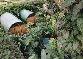 Sazagua Pereira Hotel Boutique