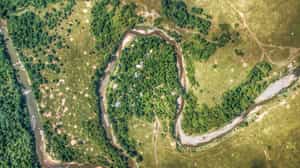 Emboo River Camp