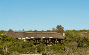 Bush Lodge - Pumba Private Game Reserve