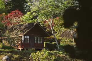 Mufindi Highlands Lodge