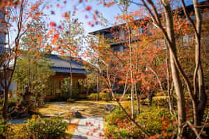 Hotel The Mitsui