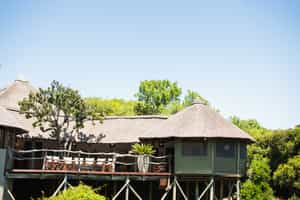 Tree Tops Safari Lodge