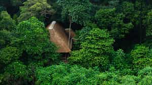 Koroi Forest Camp