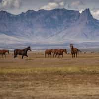 Estancia San Luis