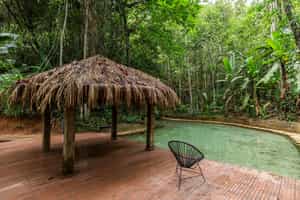 Jardim da Amazônia