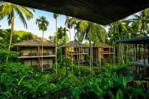 Tilar Siro, Andamans - CGH Earth