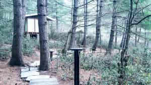 Himalayan Keys Forest Resort