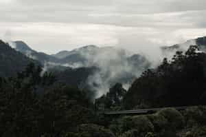 Silverback Lodge