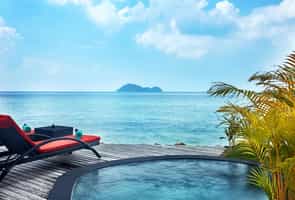 Kupu Kupu Phangan