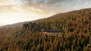 Forestis